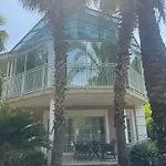 Amazonica Magic Dream