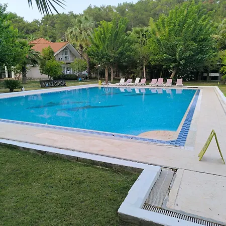 Amazonica Magic Dream Eskiomerler